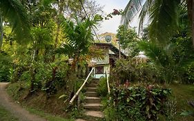 Drake Bay Paradise Hostel
